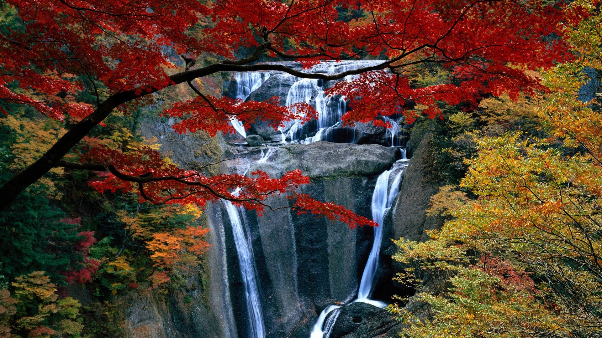 Autumn Leave Waterfall wallpaperx1080