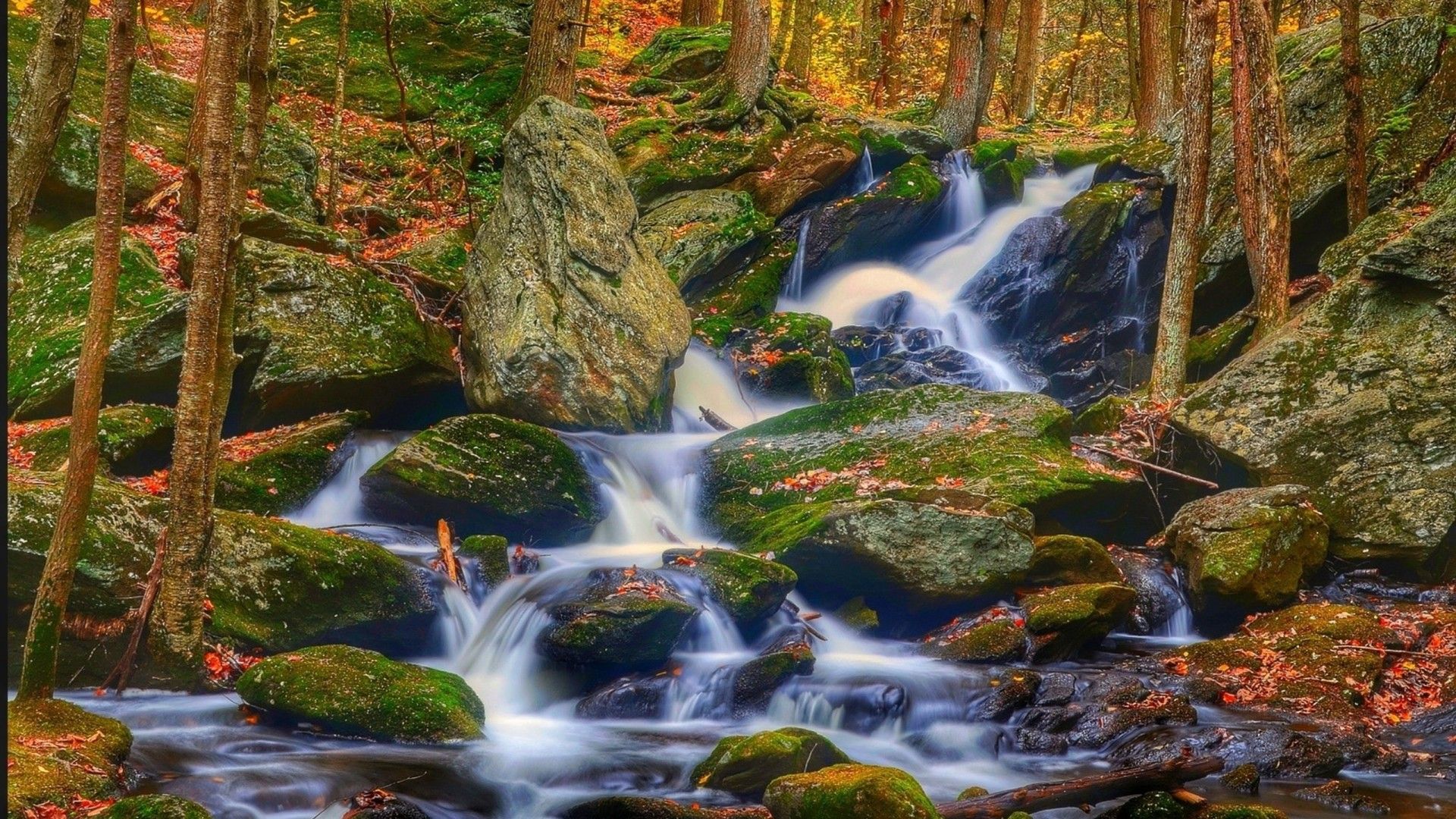 Rocks, Landscape, Nature, Autumn, Leaves, Stones, Rocks, Waterfall Wallpaper HD, Wallpaper13.com