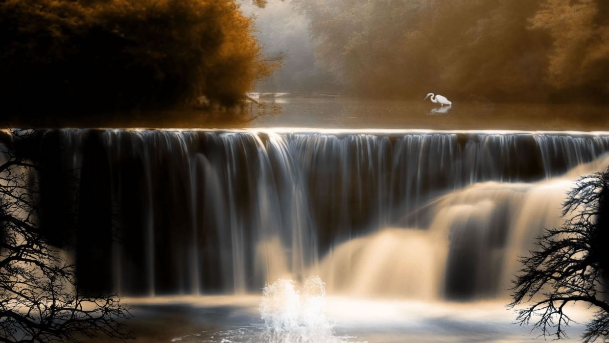Nature autumn birds waterfalls wallpaperx1080