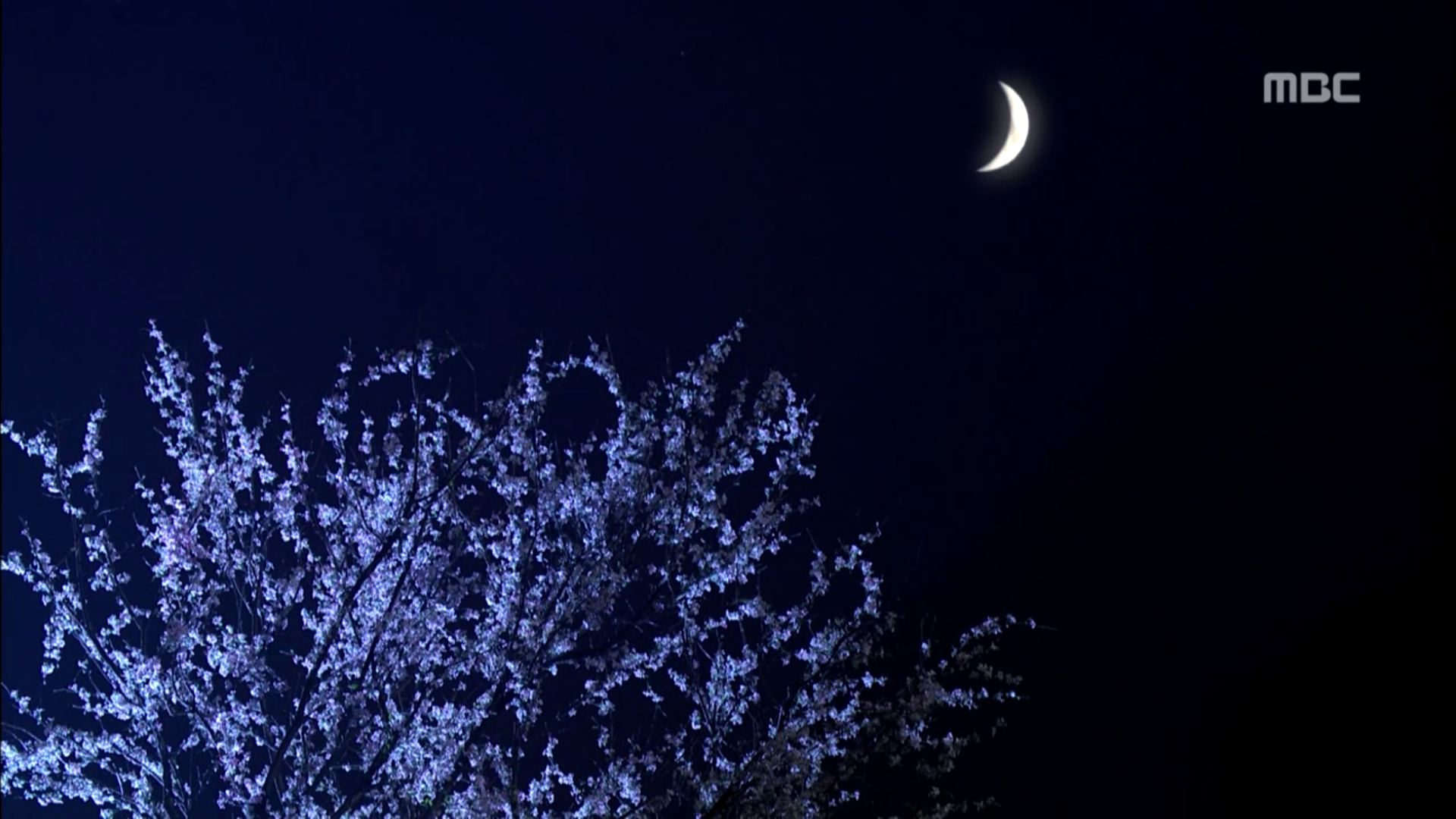 Drama 2013 The Gu Family Book 구가의 서-dramas & movies