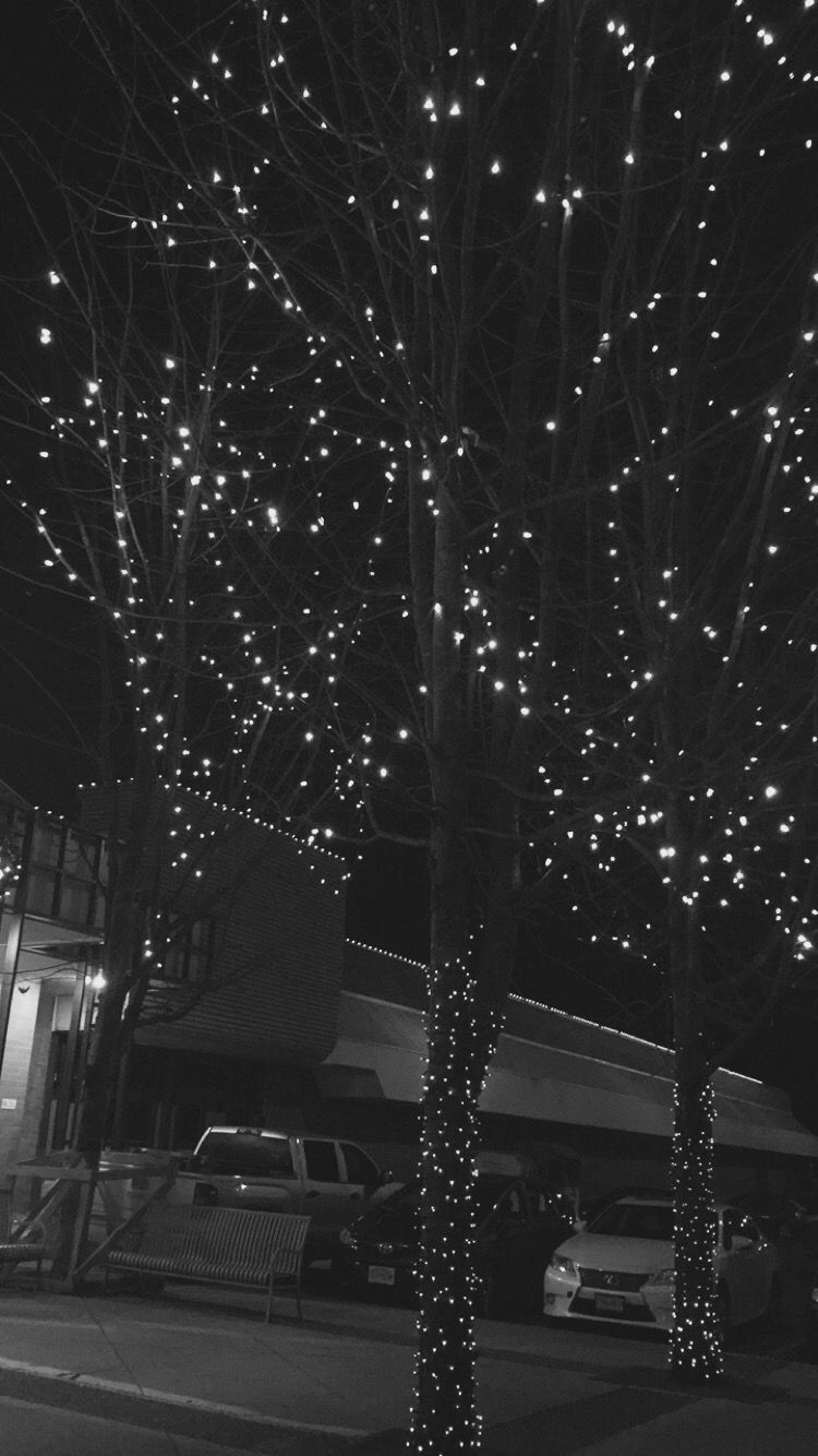 Fairy lights in trees #tree #blackandwhite #wallpaper #iphone. Fairy lights in trees, Lit wallpaper, Fairy lights