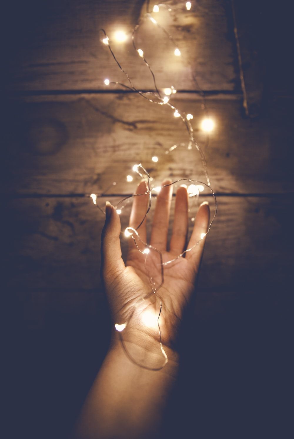 Fairy Light Picture. Download Free Image