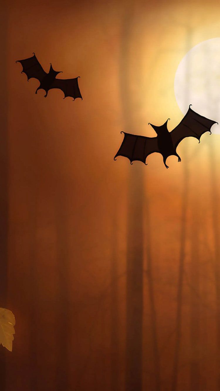 Cute Bats Halloween Illustration iPhone 6 Wallpaper HD
