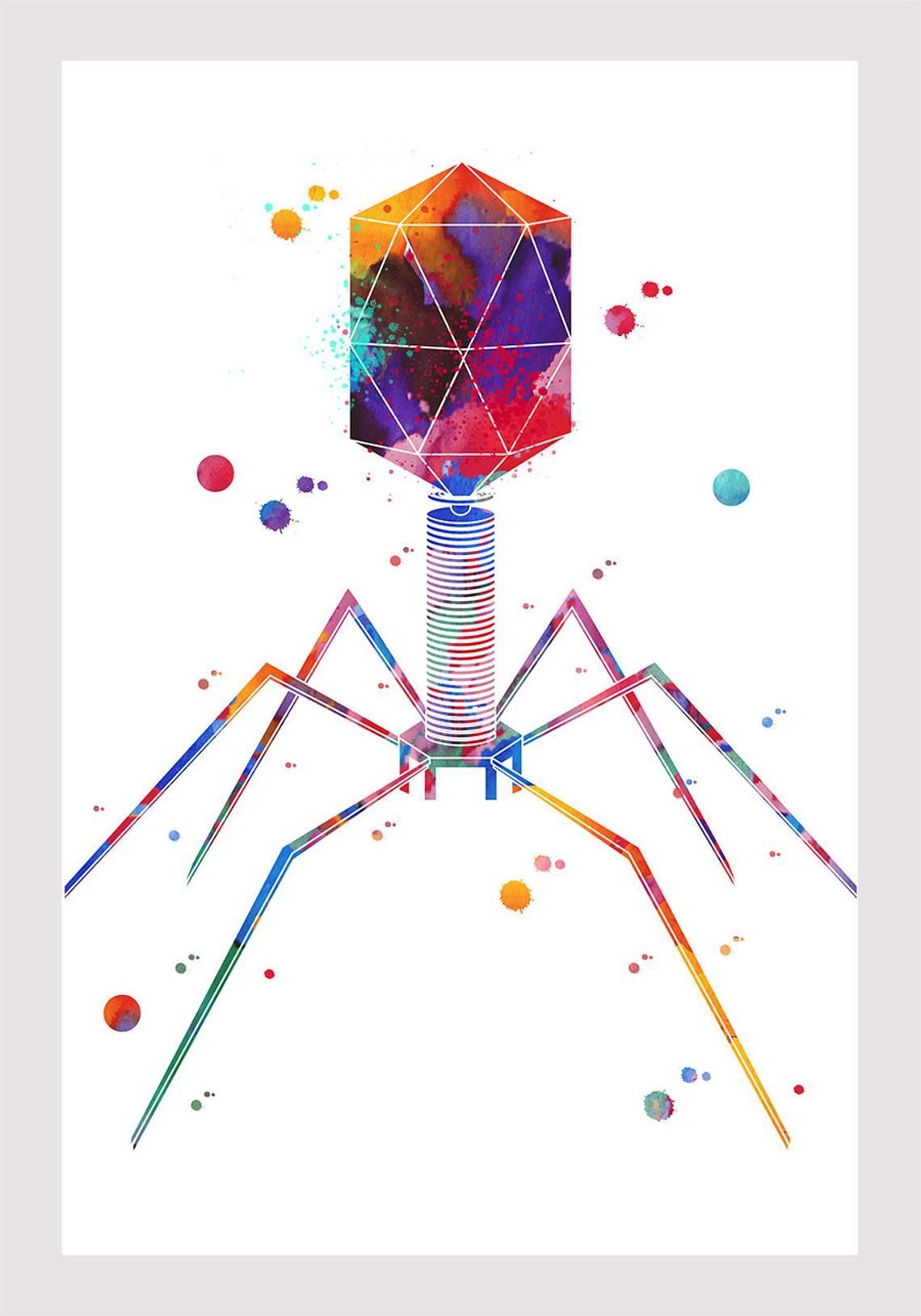 Bacteriophage Art Print Science Art Phage Watercolor Print. Etsy. Biology art, Science art, Watercolor print