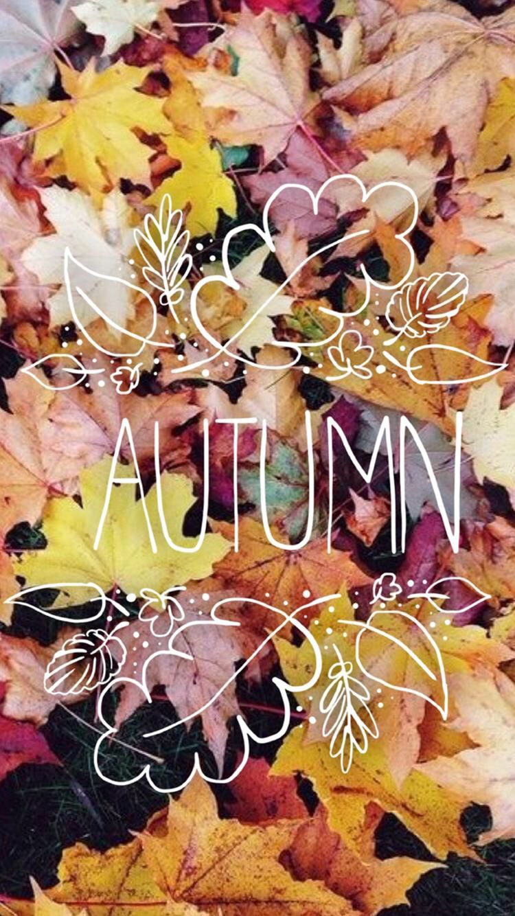 Downloaded From Girly Wallpaper. App Id1108375300. Thousands Of HD Girly Wallpaper Jus. Fall Wallpaper, Autumn Theme, Pretty Background