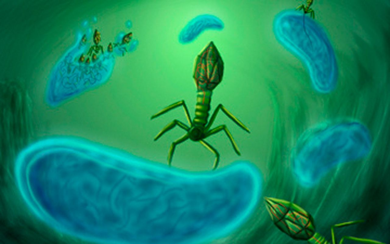 bacteriophage wallpaper