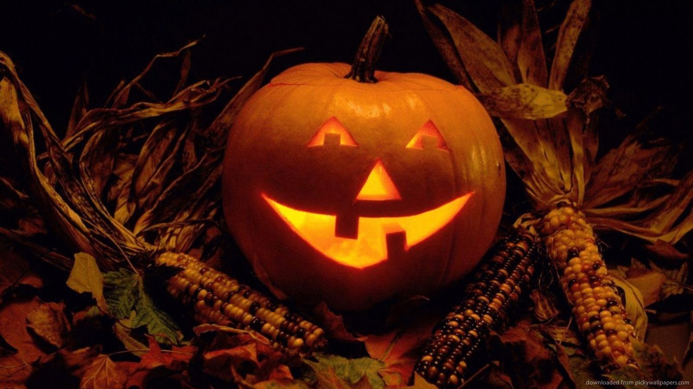 halloween funnies. Halloween funny pumpkin for 1366x768. Halloween desktop wallpaper, Free halloween wallpaper, Scary halloween pumpkins