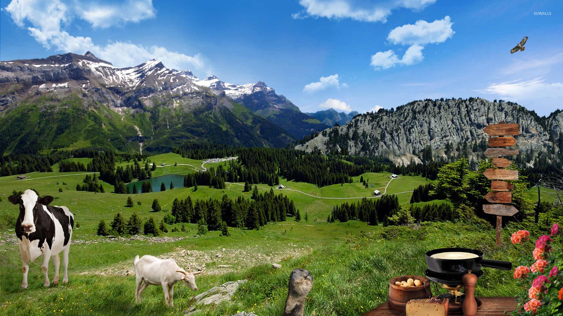 Farm animals on the mountain meadow wallpaper wallpaper