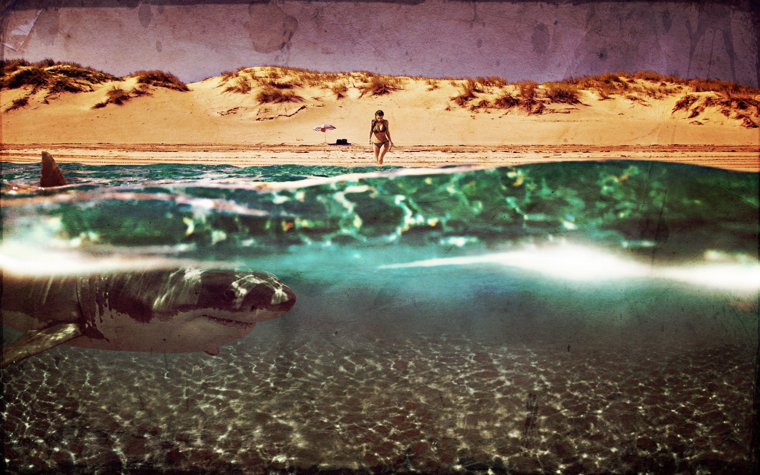 kim kardashian shark beach water vintage photohopped Wallpaper HD / Desktop and Mobile Background