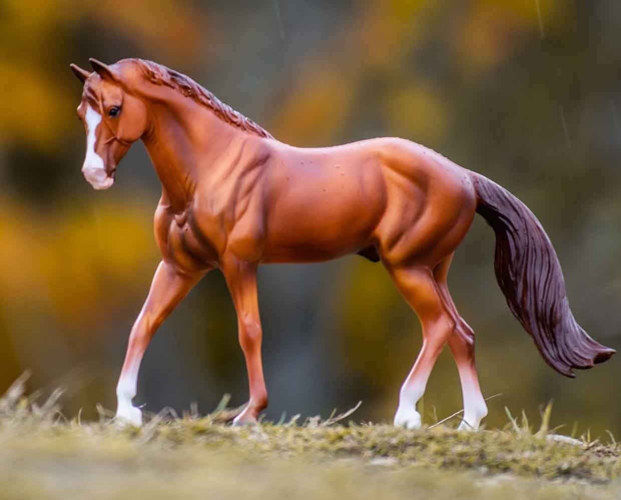 Chestnut Quarter Horse