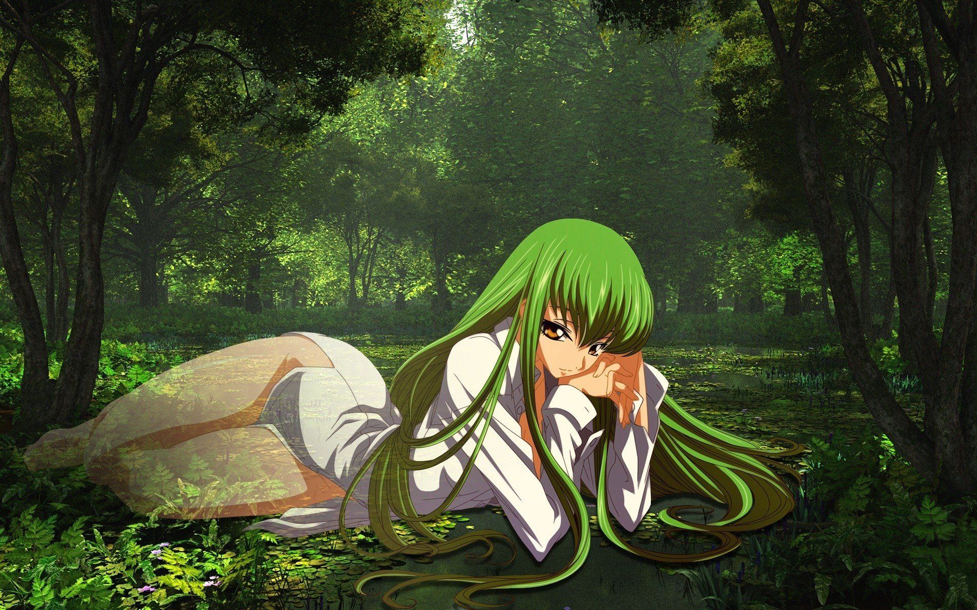 anime, Anime girls, C.C., Green hair, Code Geass HD Wallpaper / Desktop and Mobile Image & Photo