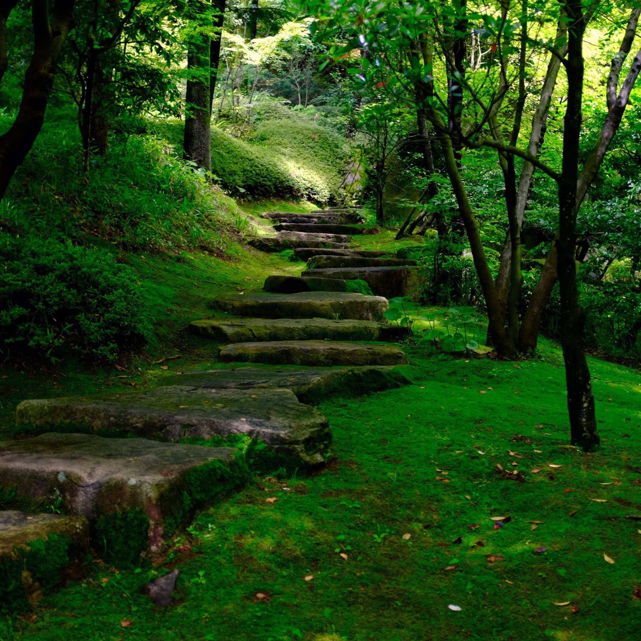 Garden Path Wallpapers - Wallpaper Cave