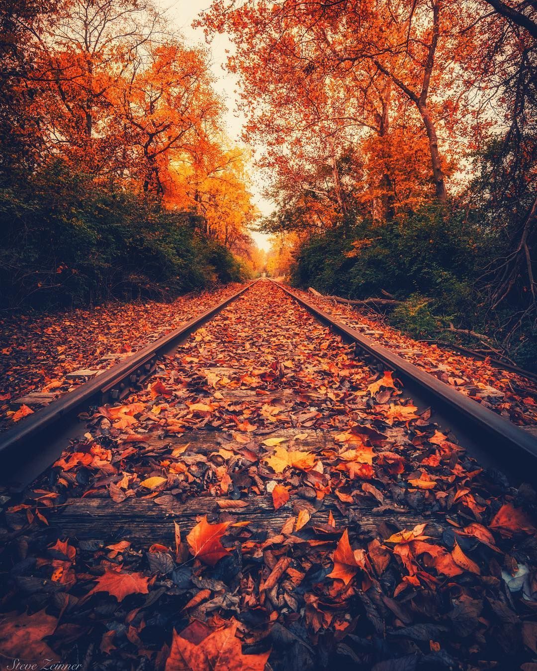 Beautiful and Colorful Instagrams by Steve Zeinner. Autumn photography, Nature photography, Scenery