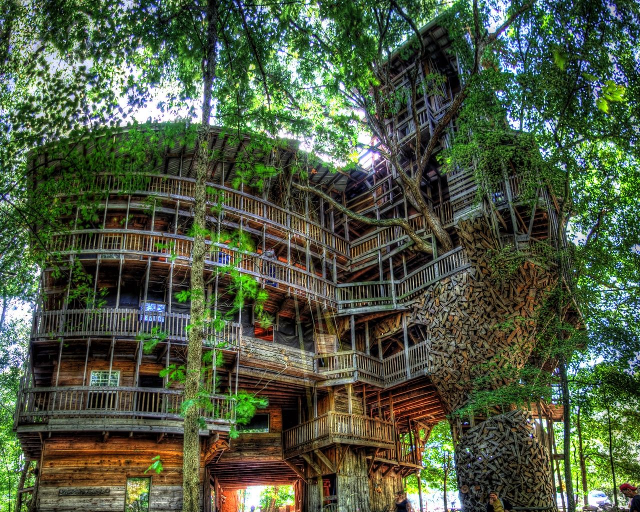 Free download Amazing Tree House Design Wallpaper Download cool HD wallpaper [1280x1114] for your Desktop, Mobile & Tablet. Explore Amazing Wallpaper for Home. Wallpaper for Walls, Cool Wallpaper for