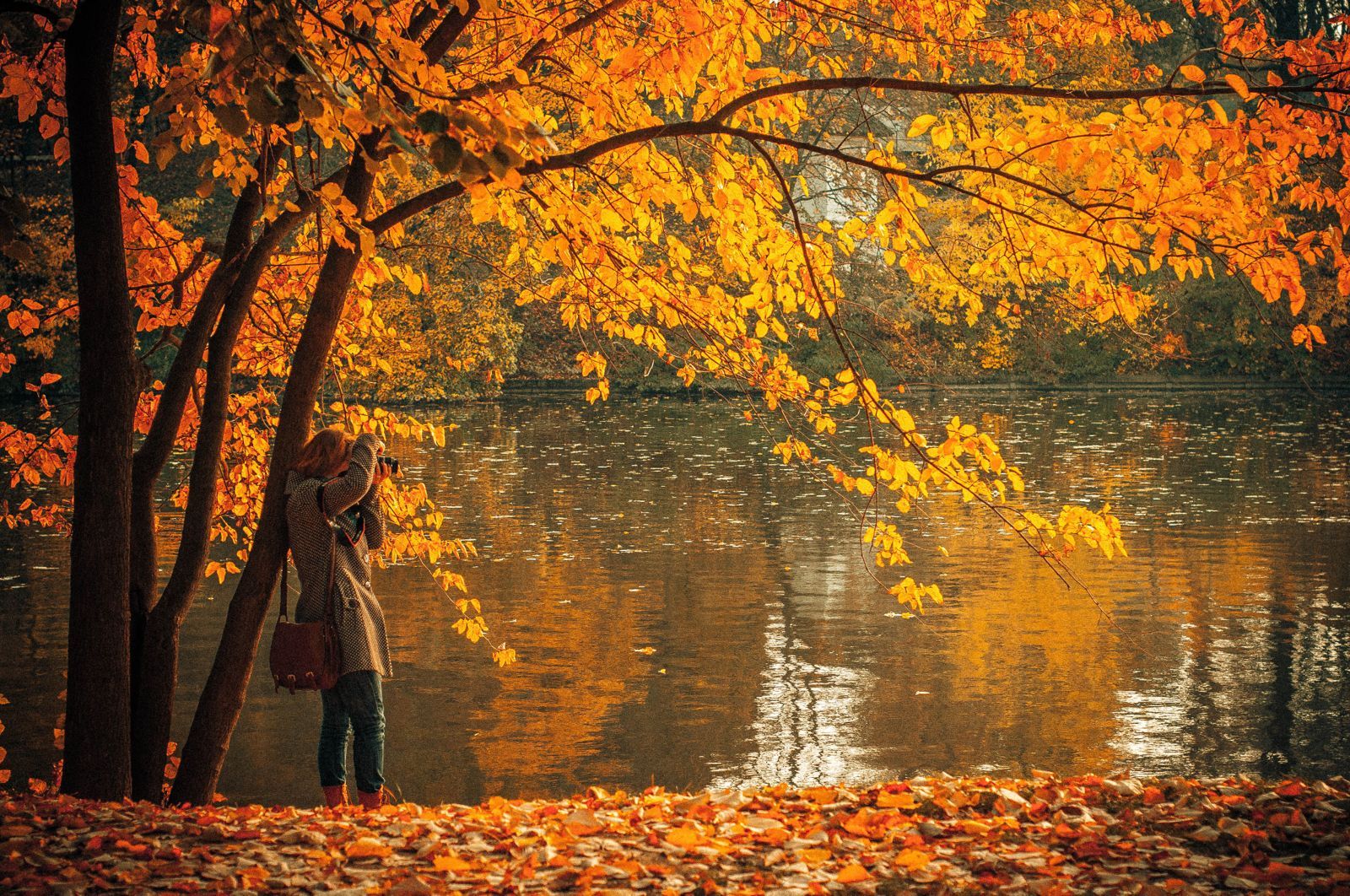 Person Lake Leaves Autumn Photography Photographer Fall Wallpaper.com. Best High Quality Wallpaper
