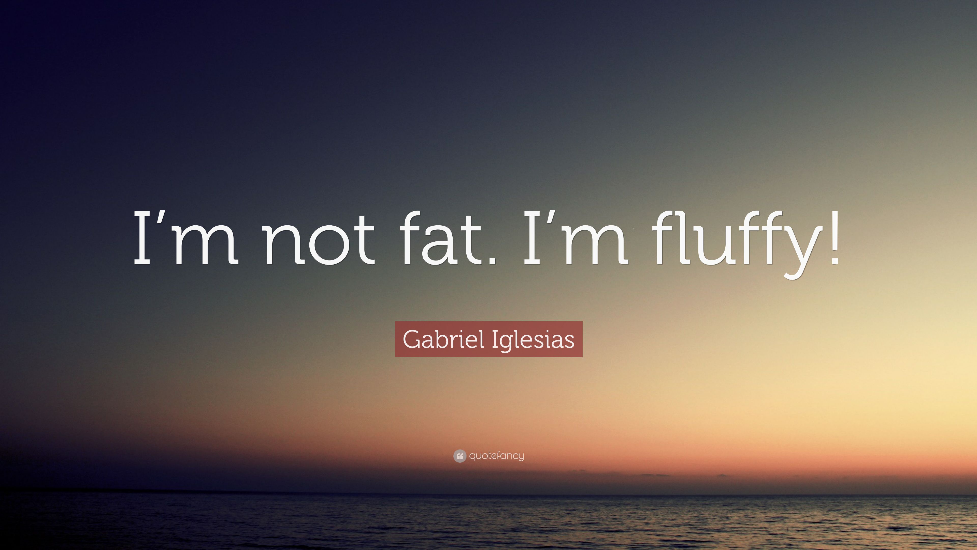 Gabriel Iglesias Quote: “I'm not fat. I'm fluffy!” (7 wallpaper)