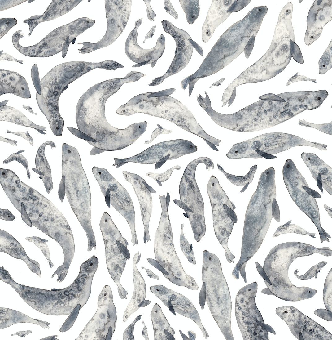 Watercolour seal repeat pattern by Elena O'Neill. Drawing wallpaper, Watercolor pattern, Art