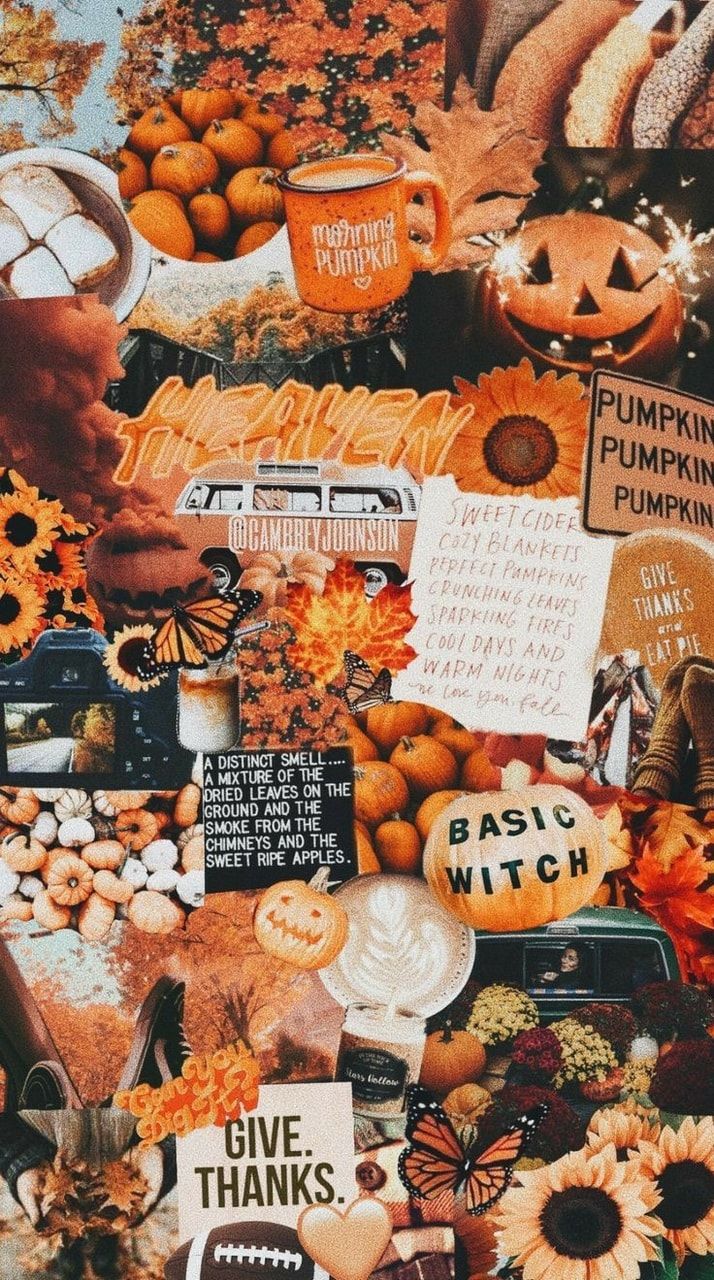 autumn, pumpkin, aesthetic and wallpaper