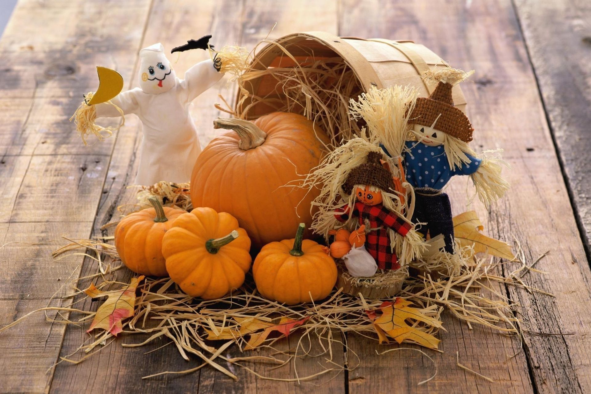 Vegetables Board autumn Pumpkins toys straw basket wallpaper (phone background)