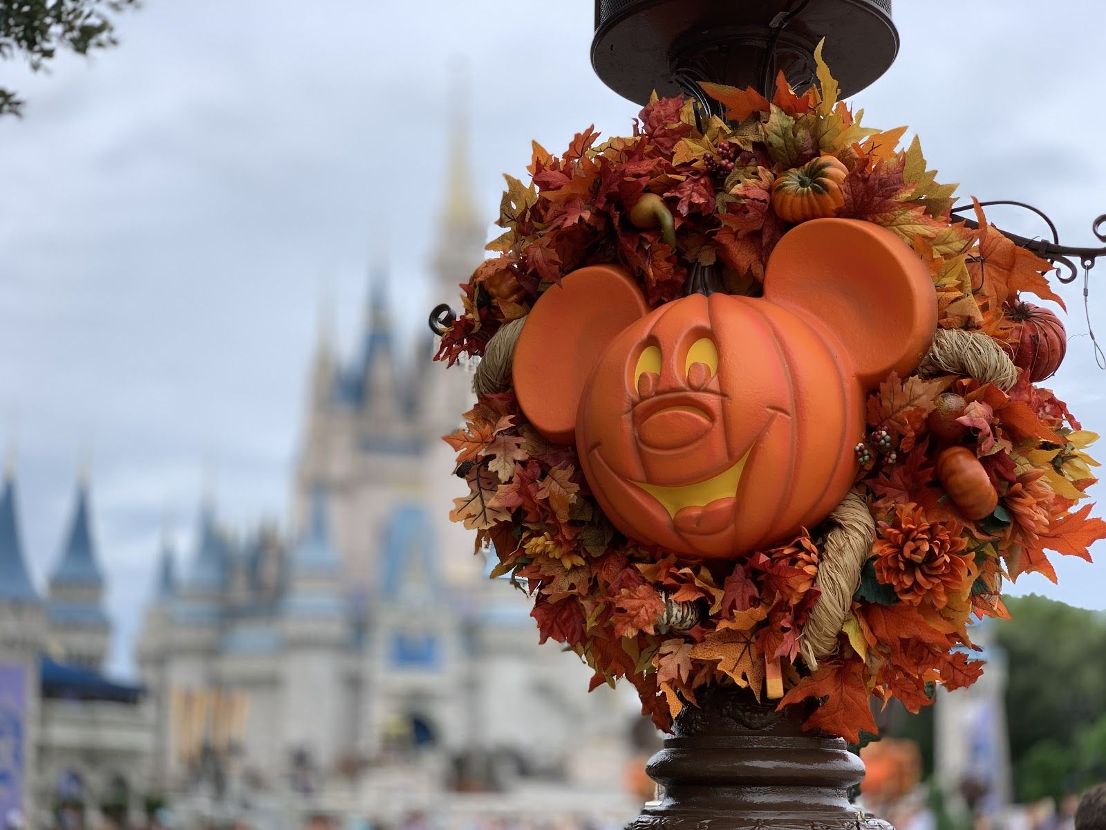 Insider Secrets to Know Before Attending Mickey's Not So Scary Halloween Party 2019 Rental Store. Disney Vacation Club Point Rentals
