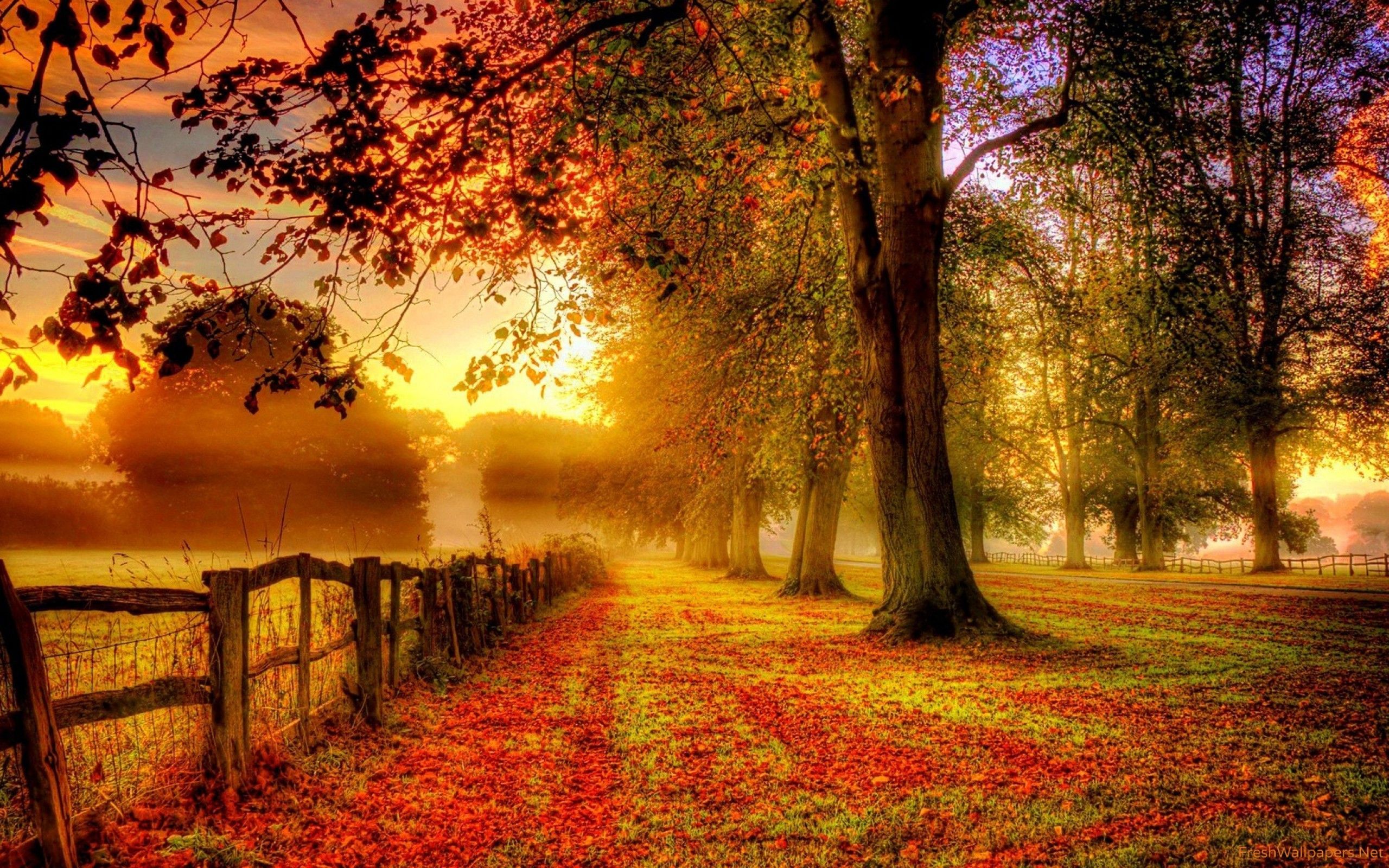 Autumn Magic. Autumn scenery, Autumn landscape, Fall wallpaper