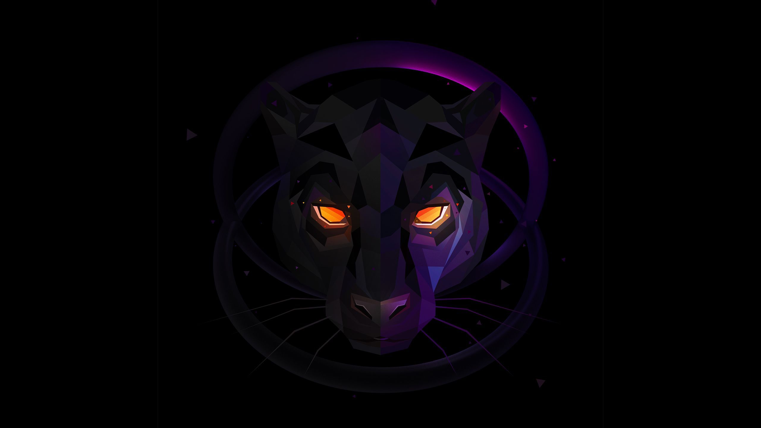 Neon Panther Animal Wallpapers - Wallpaper Cave