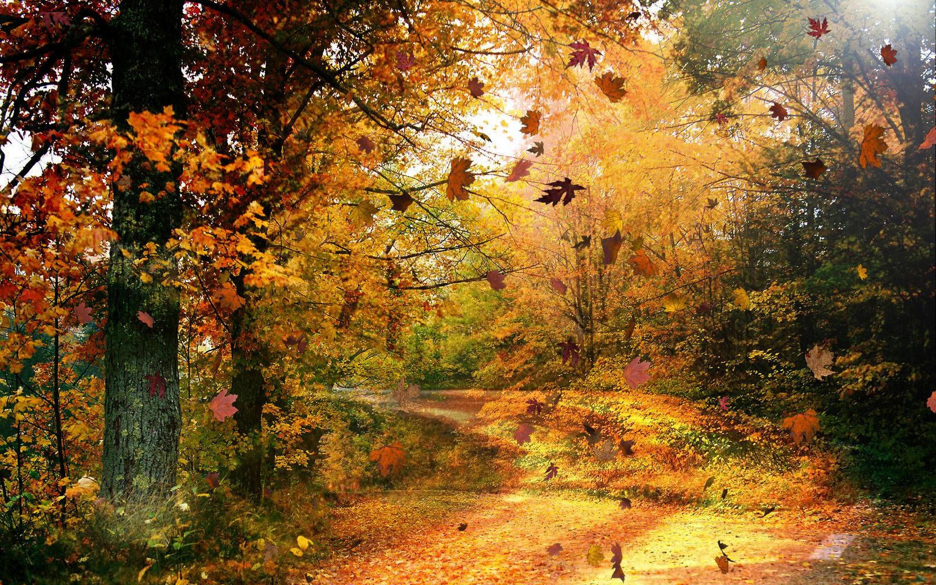 Fall Scenery Wallpaper Free Download