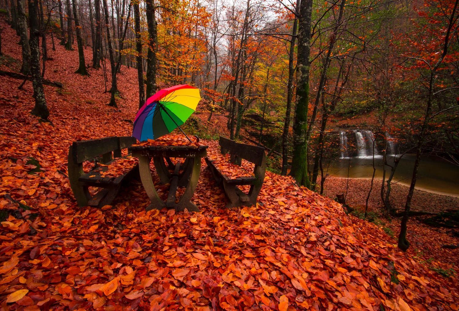 lake, Forest, Turkey, Bursa, Tree, Water, Autumn, Landscape, Waterfall, Color, Umbrella Wallpaper HD / Desktop and Mobile Background