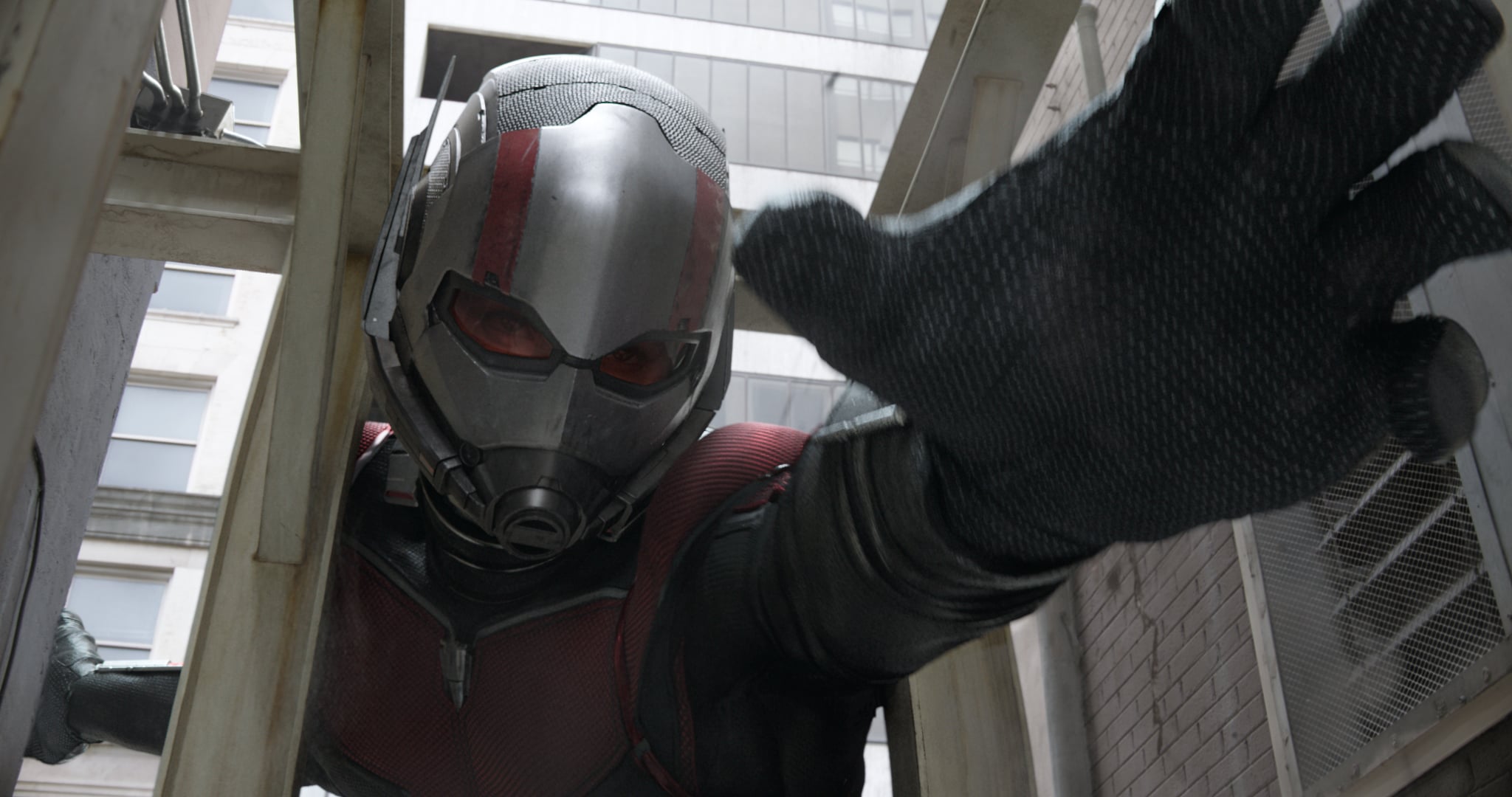 What Happened With Ant Man And The Avengers In Germany?