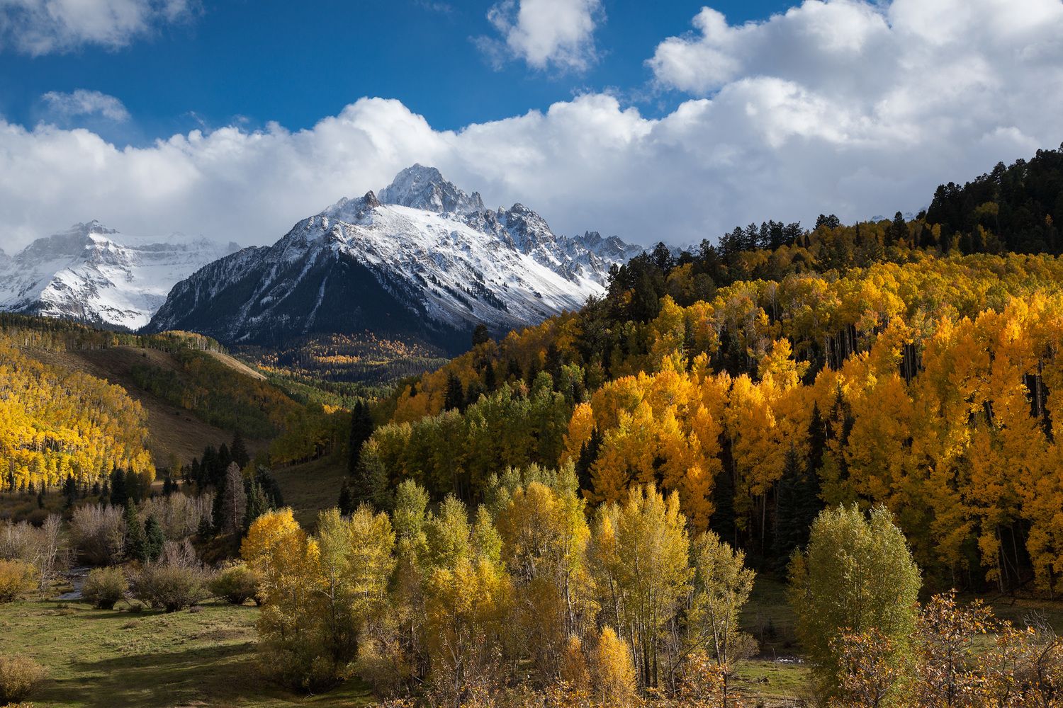 Free Desktop Wallpaper: Autumn in the Aspens