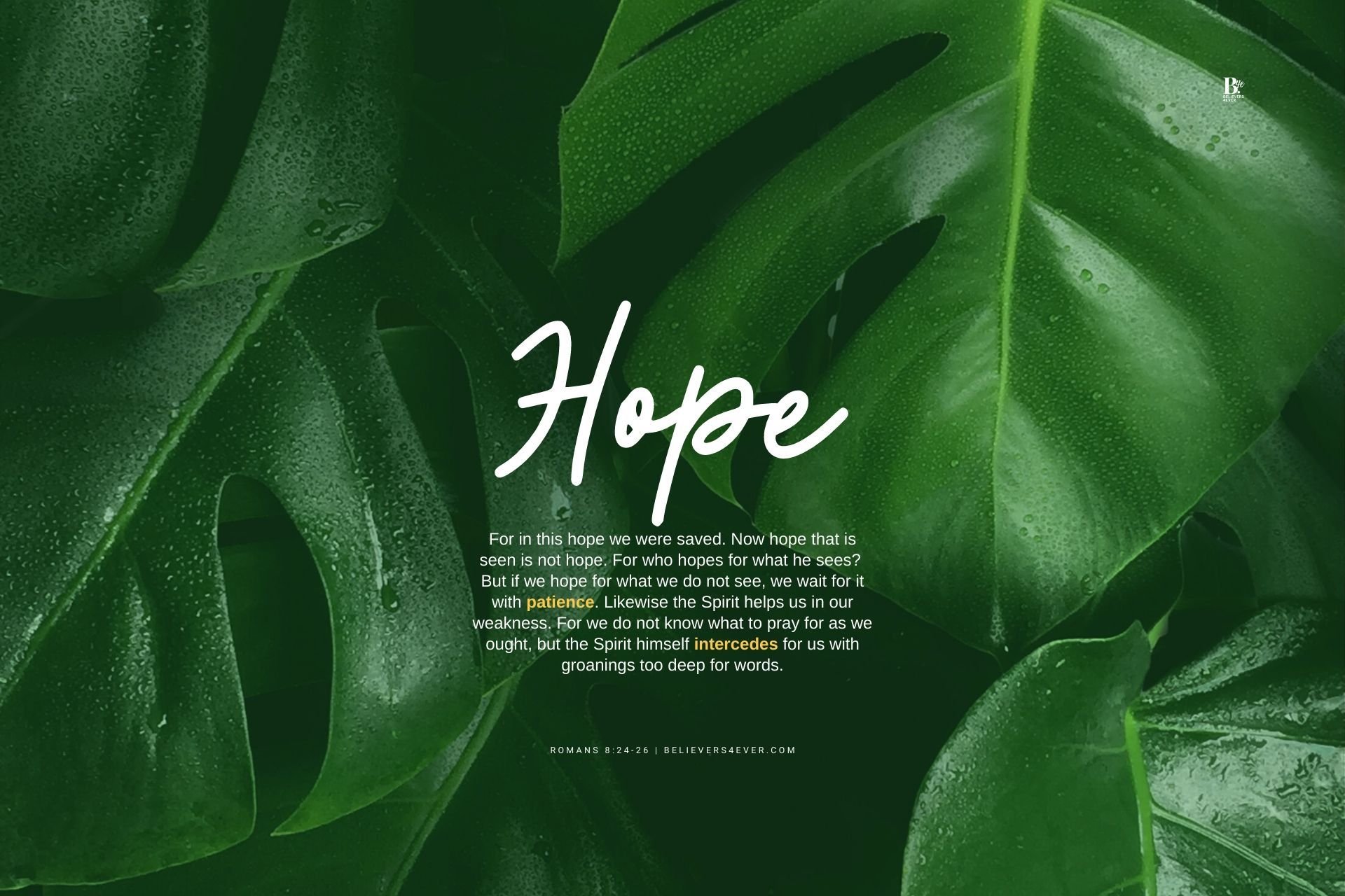 For in this hope wallpaper