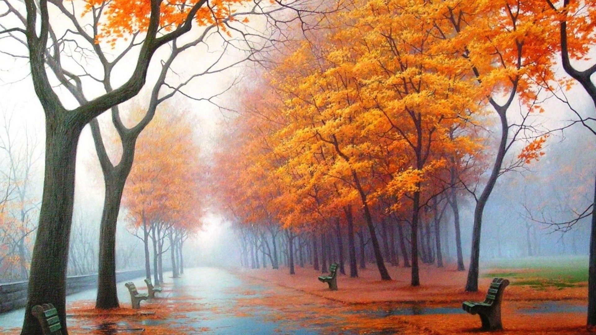 1920×1080 HD Autumn Wallpaper. Background. Photo. Image