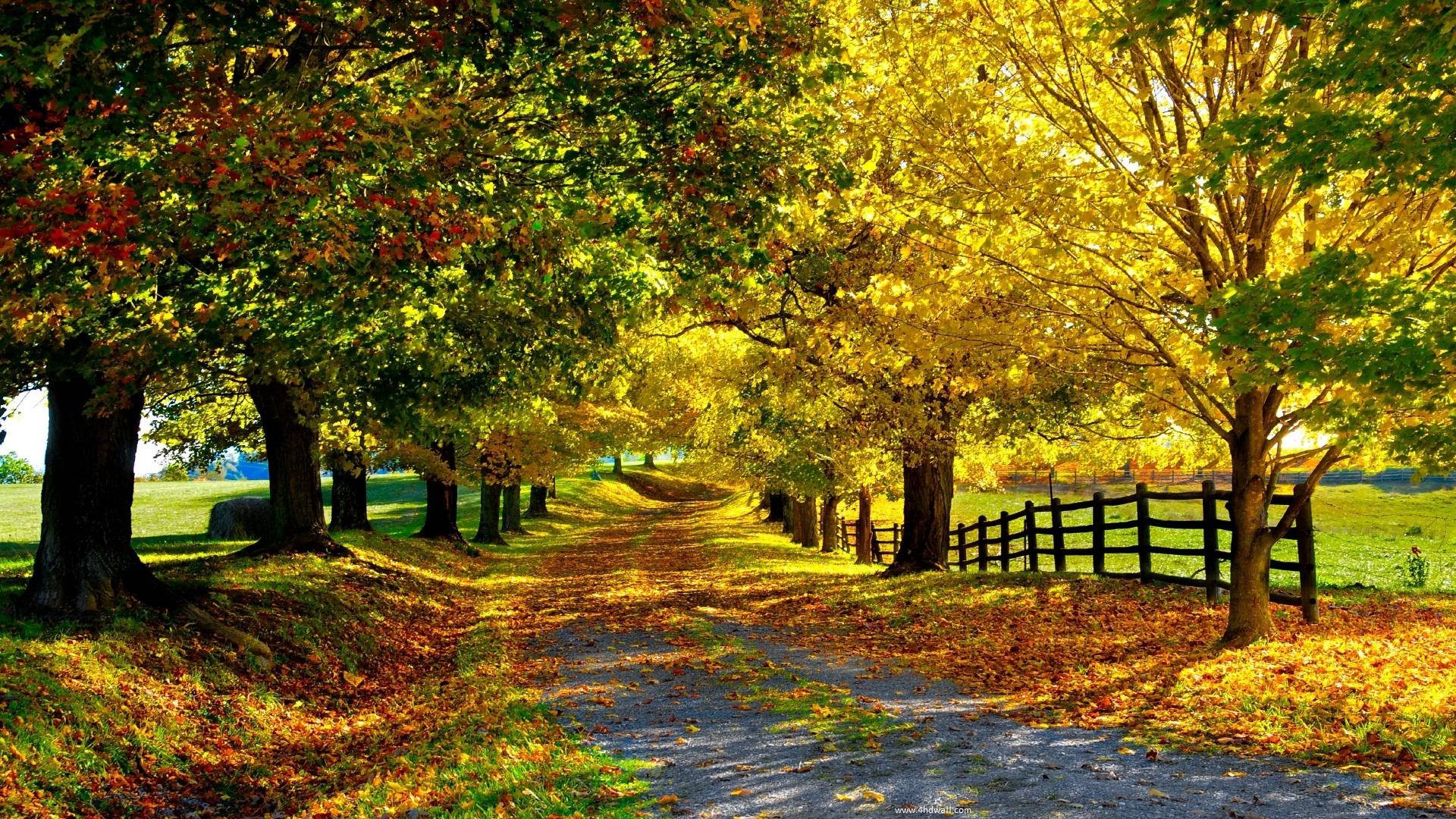 Autumn Season Nature Wallpaper Background Awesome