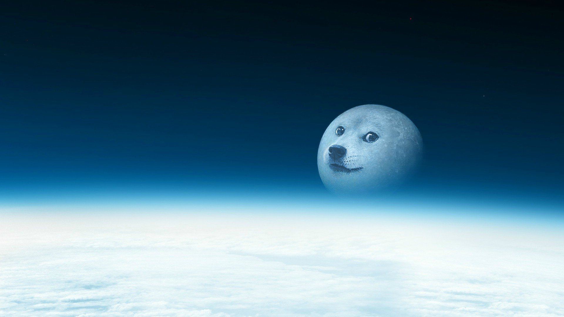 doge Wallpaper HD / Desktop and Mobile Background