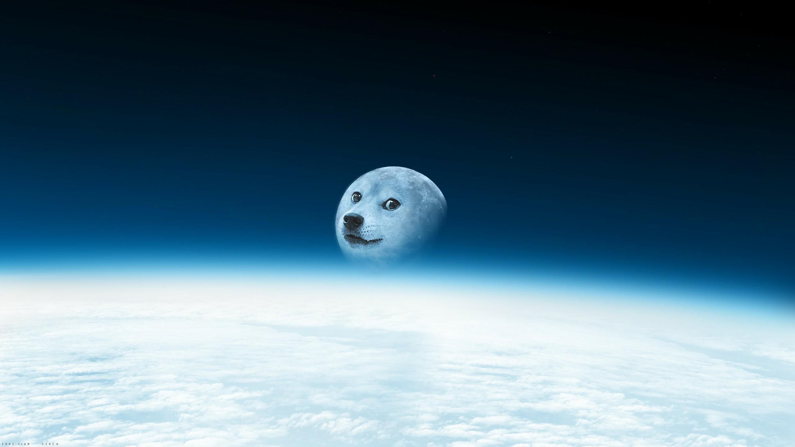 Doge Wallpaper • R Dogepaper. Doge Meme, HD Wallpaper, Desktop Wallpaper