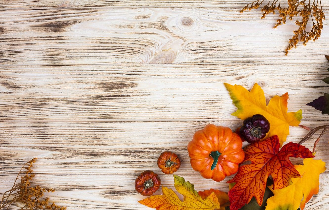 Wallpaper autumn, leaves, pumpkin, Autumn image for desktop, section разное