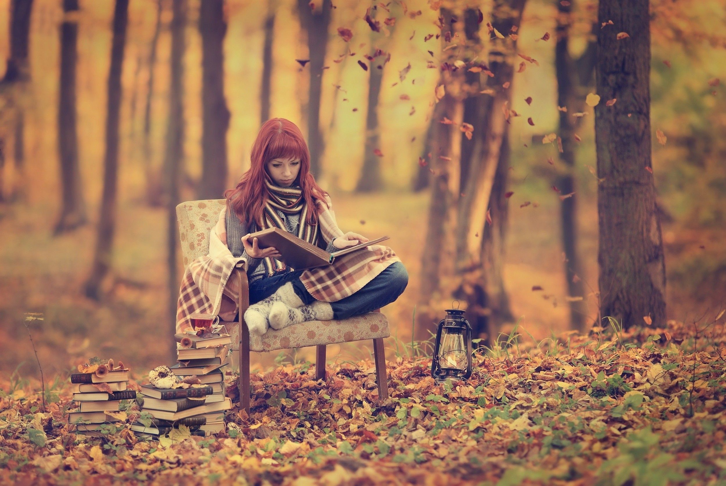 women, Fall, Reading, Forest Wallpaper HD / Desktop and Mobile Background