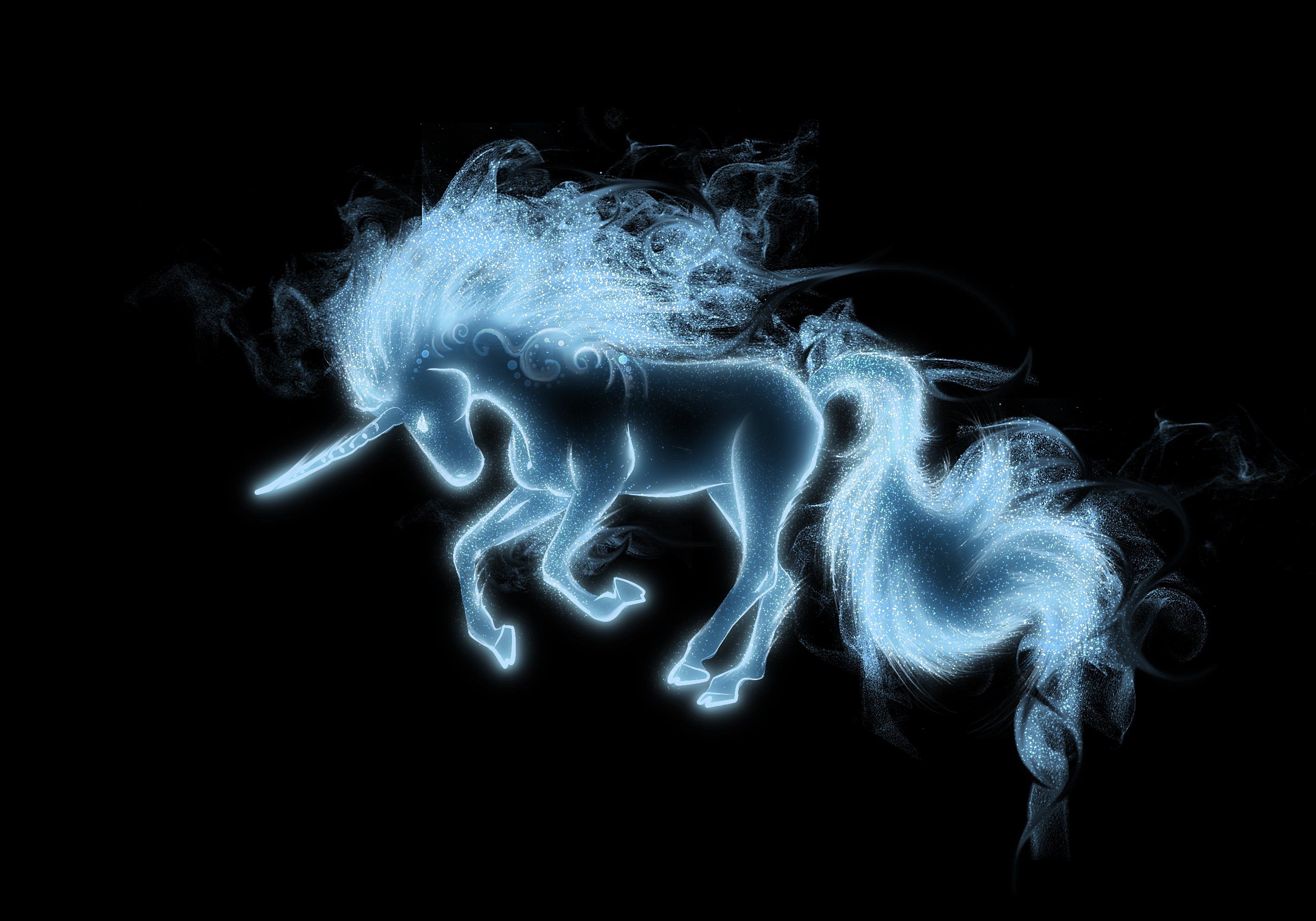 black, Background, Griva, Unicorn, Tail, Blue, Magic Wallpaper HD / Desktop and Mobile Background