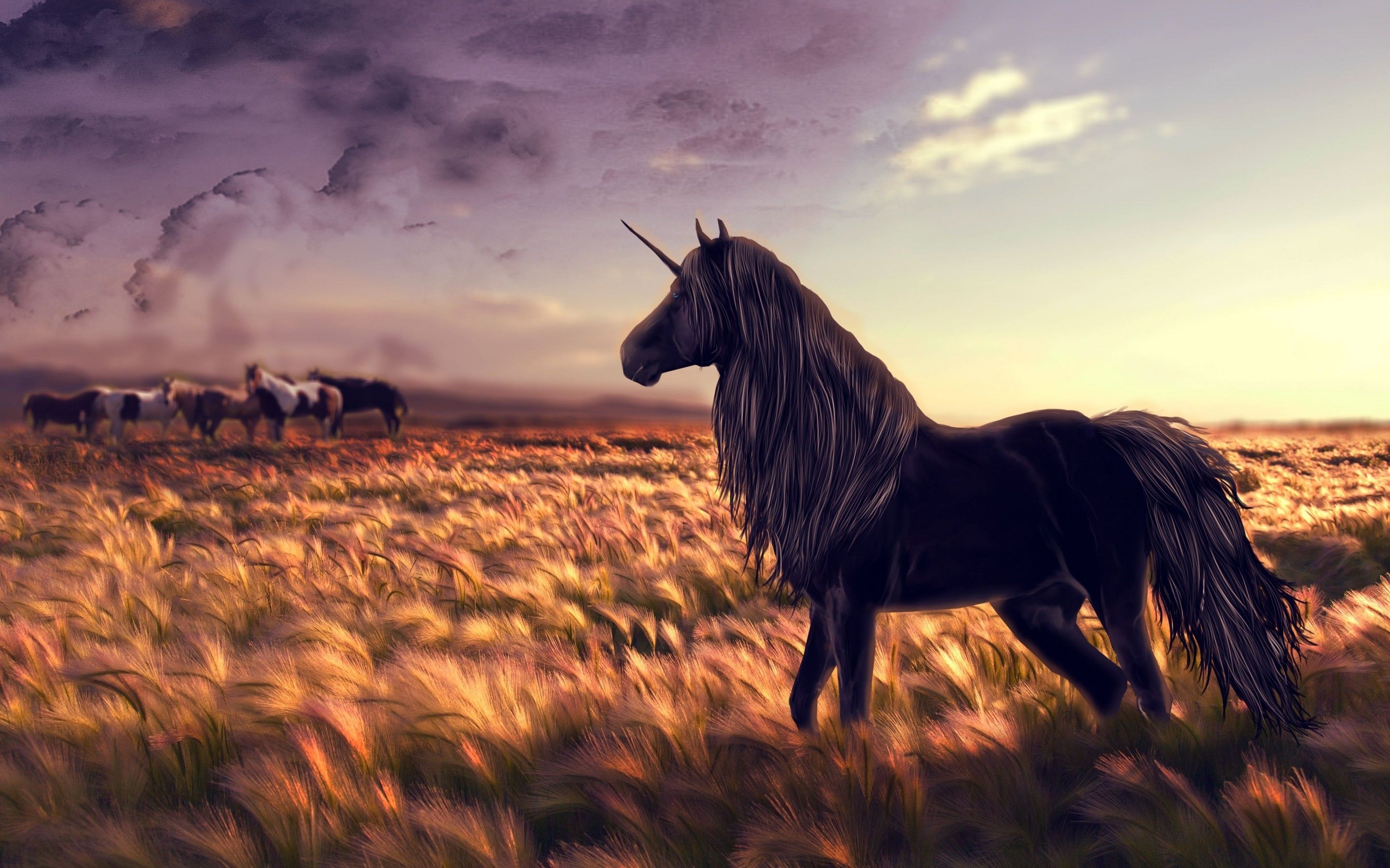 Download 2880x1800 Black Unicorn, Field, Horses, Plants, Sky, Artwork Wallpaper for MacBook Pro 15 inch