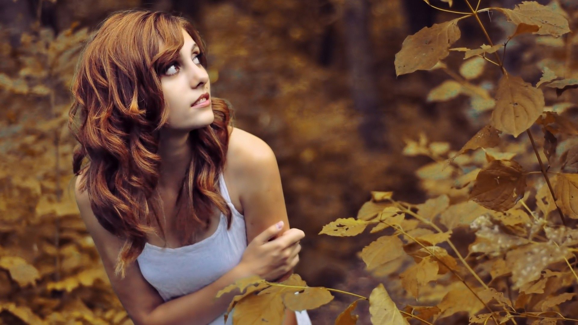 women, nature, trees, autumn, forests, redheads, models, parks wallpaper