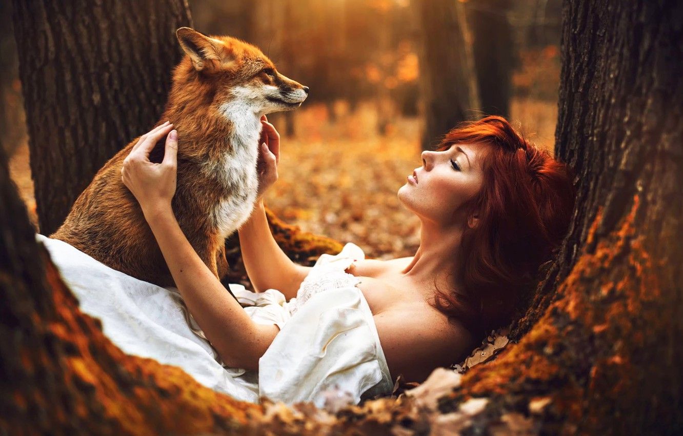 Wallpaper Fox, white, dress, Autumn, autumn, tree, Woman, sitting, Redhaired, redhair image for desktop, section ситуации
