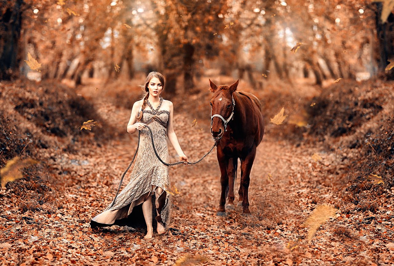 Wallpaper horse Fairy tale, Alessandro Di Cicco female Autumn