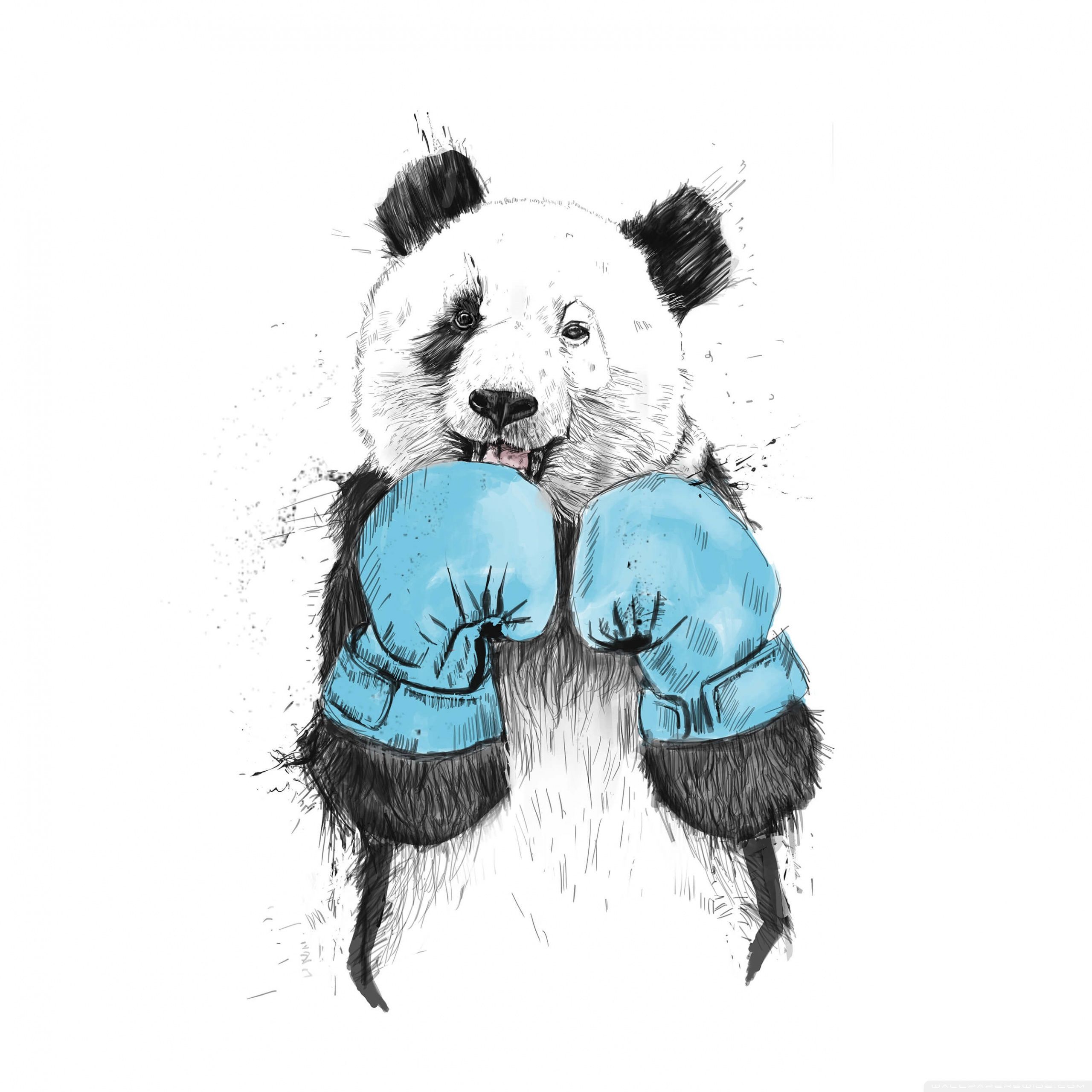 Minimalist Animal Wallpaper