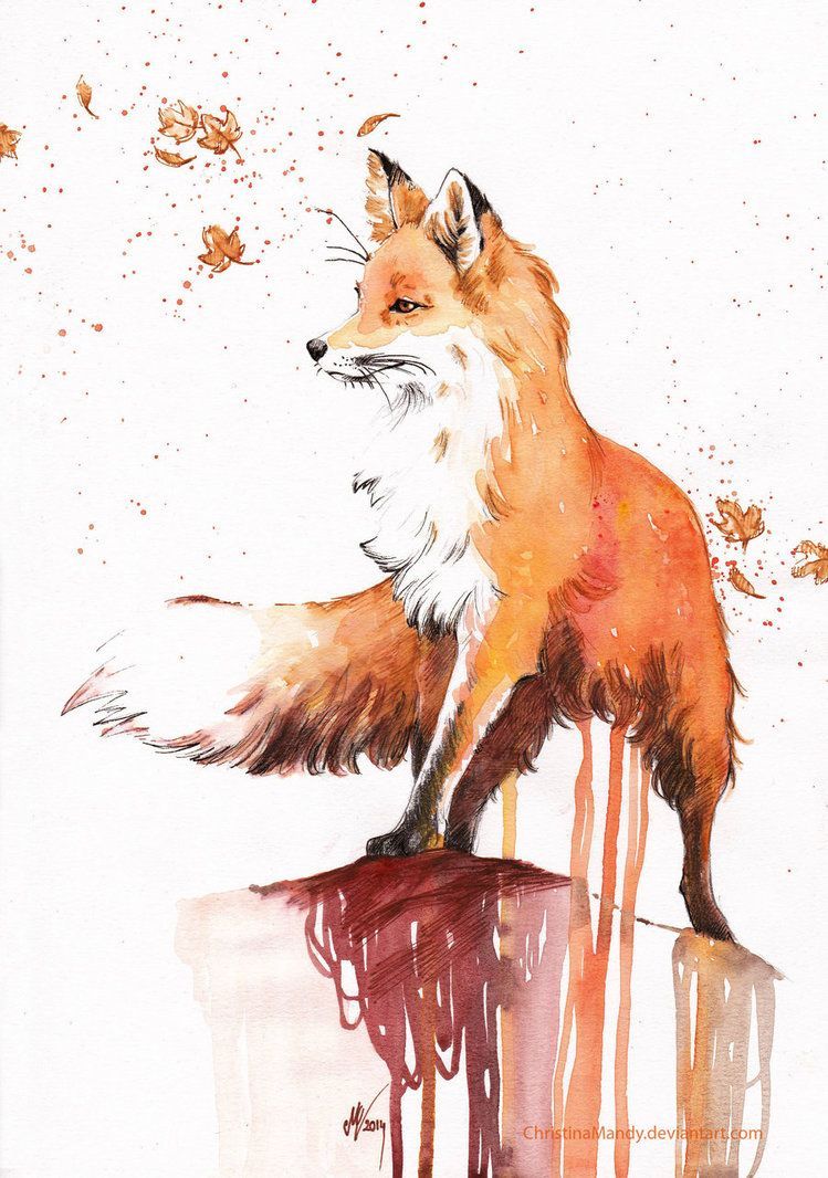 Autumn fox. Fox art, Watercolor fox, Animal art
