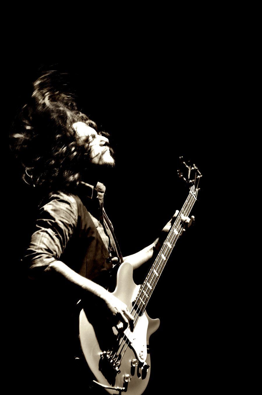 Bassist. Bassist, Bass guitar lessons, Live photo