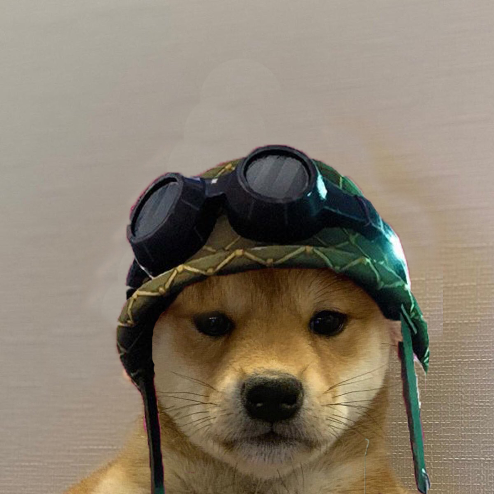 VisarTheKing. Twitter. Dog icon, Dog image, Dog memes