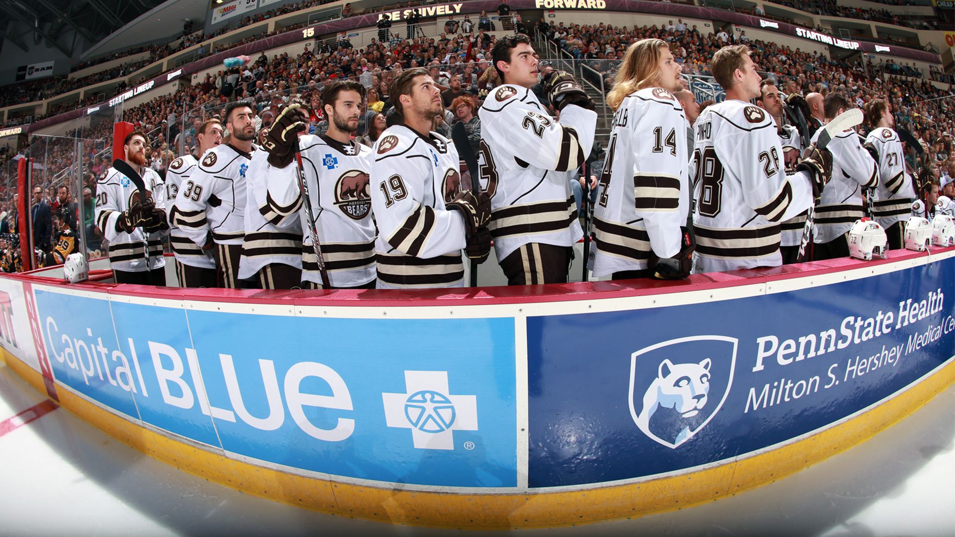 Get your Hershey Bears Teleconference Background Here!. NEWS. Hershey Bears Hockey