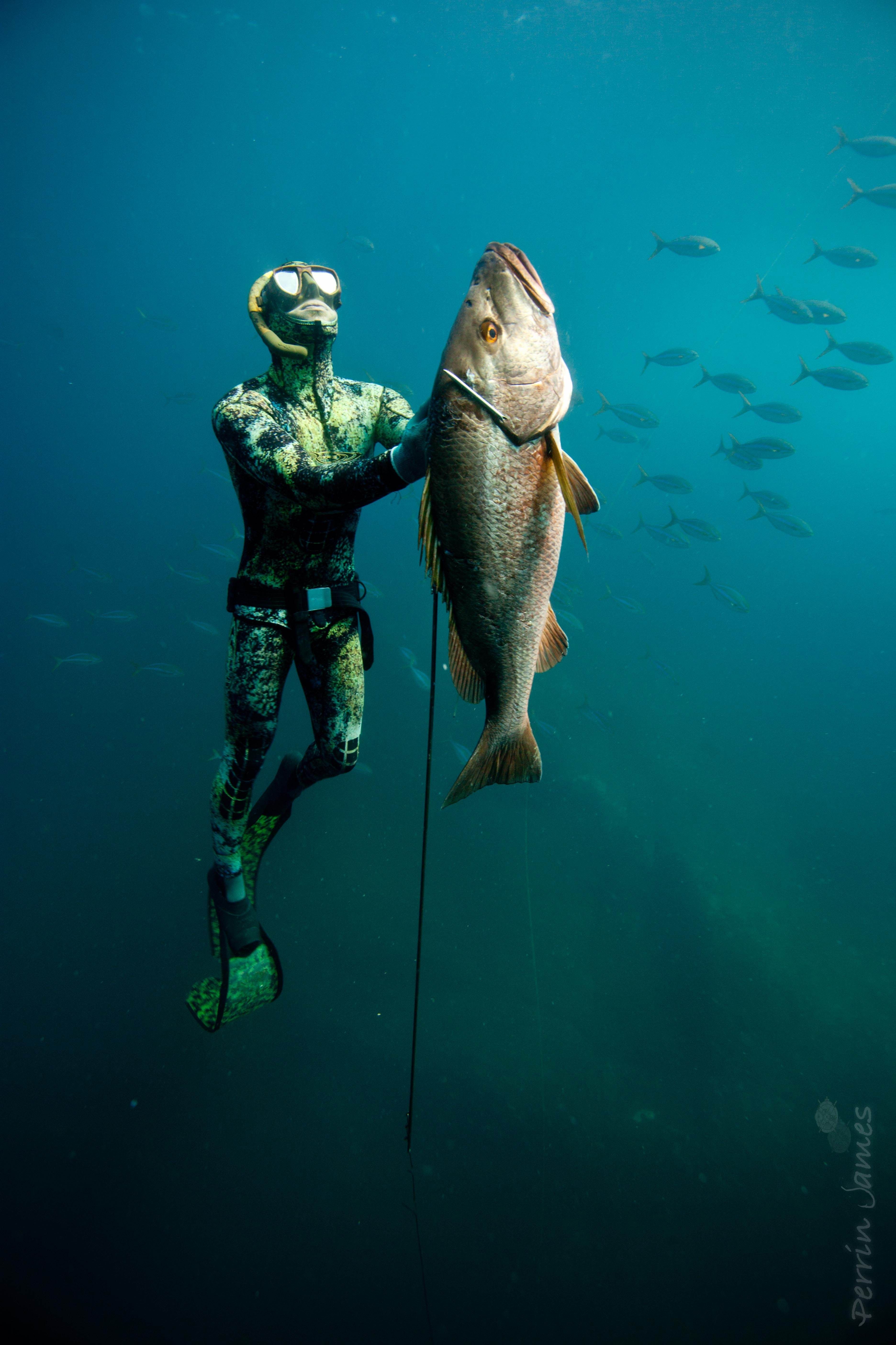 Tuna Wallpaper. Spearfishing, Shark fishing, Fishing picture