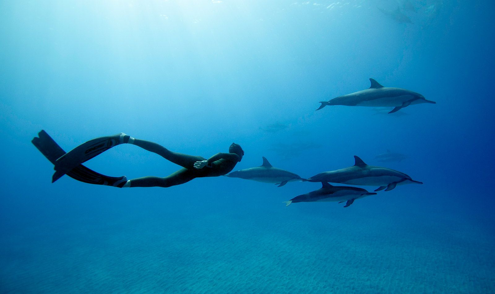 What Is Freediving And Why You Must Absolutely Do It