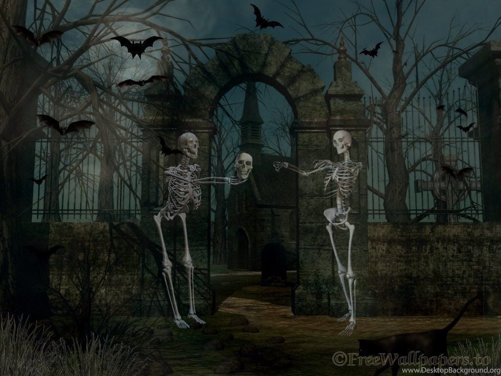 Halloween Skeleton Wallpaper Desktop Background